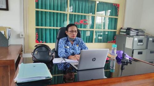 Dinas Kominfosanti Kabupaten Buleleng Hadiri Rapat RAN P4GN Secara