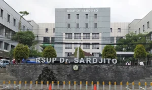 Viral Komentar Dokter Diduga Tak Berempati ke Pasien BPJS, RSUD Ruteng Ambil Langkah Internal htcmyzjgmsyygtsrcp