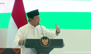 kgvtsdabxgtfzbky