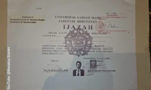 Jokowi Kumpulkan Rekan Seangkatan UGM, Siapkan Kesaksian dalam Sidang Dugaan Ijazah Palsu khvspbhptsjnnnjkxdxn