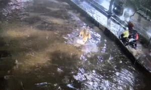 75 RT Terendam Banjir, Pramono Anung: Fokus Percepat Sedot Genangan di Titik Rawan kkysaqhyqarncpk