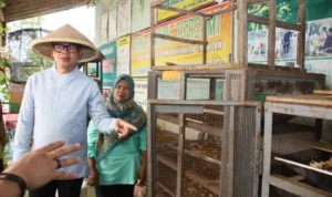 Tinjau Kampung Jambon Gesikan, Wamendagri Dorong Replikasi Pengelolaan Lingkungan Berbasis Masyarakat kpddjqcrxmsdmjmwbd