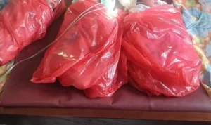 Lampaui Prediksi USG, Ibu di Desa Daniwato NTT Melahirkan Tiga Bayi Laki-laki kpfnmpnsgdjtetjqqpmer