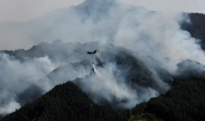 Memasuki Hari Kelima, Luas Area Kebakaran Hutan di Jepang Utara Capai 1.373 Hektare kqdprgzndbkxyrrwkf