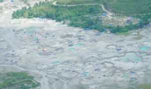 Operasi Besar-Besaran di Maluku: 16 WNA China Diamankan dari Lokasi Tambang Ilegal Gunung Botak kqqeaepbkfdzntgcwd