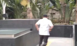 kravdshjzaxxtcm