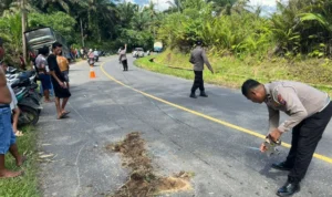 Polisi Siapkan Jemput Paksa Direktur ALS dalam Kasus Bus Maut yang Tewaskan 19 Orang krmgszqqdavpxkgt