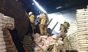 Kerahkan 27 Unit Armada, Damkar Jakarta Barat Berhasil Padamkan Kebakaran Pabrik di Cengkareng krzcjegyejgfkdgyc