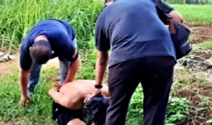 Tiga Anggota Geng Motor Asal Pasar Kemis dan Serang Diringkus Polisi Usai Bacok Pengendara di Tangerang kscjsdytnxpebnbp