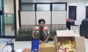 Jaringan Pekanbaru-Malang Digulung, Tim Gabungan Sita 5,2 Kg Ganja di Hub Ekspedisi Singosari kvvxmmvnsshtzvxea