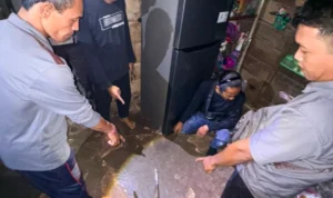 Guru SD di OKU Selatan Tewas Ditusuk Siswi SMP, Pelaku Datangi Polsek Didampingi Keluarga kvggrxygewbxbnfxy