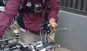 kwrtvvtjddhjyhdpc
