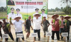 Pemulihan Pertanian Aceh Dipercepat, Sekda Apresiasi Kinerja Satgas PRR kxatqacjcwxaxbsndhb