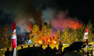 Bukan Satu Kantor! Massa Bakar Kantor Bupati, DPRD hingga Dinas di Puncak Papua kzsmeqefvqhadhbv