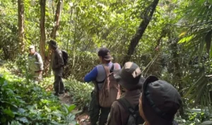 Karhutla Mengancam Saat Kemarau, Pemprov Jabar Minta Warga Jangan Bakar Lahan kzzbseebycbjrpv