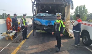 Mengerikan! Kabut Asap Karhutla Picu Tabrakan Beruntun di Tol Palindra, Belasan Orang Luka mrhqxgvgrmmsrekqef