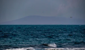 Jejak Terakhir 5 Wartawan di Selat Sunda: Berangkat Senin Siang, Tak Kunjung Pulang mzxddxcnaftxtqqmkca