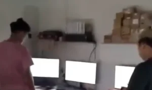 mfsmrkxgasj