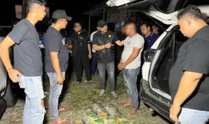 Sabu 24 Kg Disembunyikan di Jok dan Dashboard, Polisi Buru Pengendali Jaringan mwxparncgcbcva ()