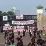 jpg