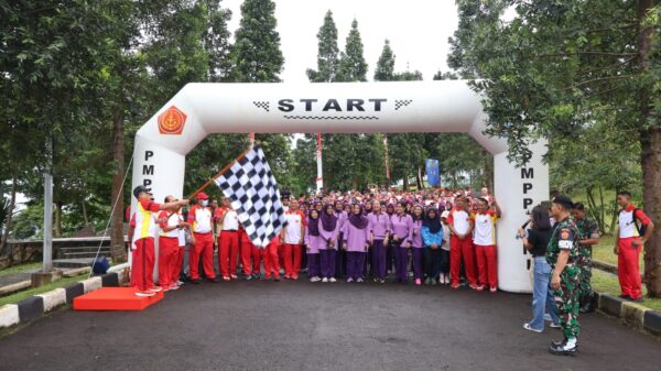 HUT ke-19 PMPP TNI: Brigjen TNI Iwan Bambang Tekankan Profesionalisme Peacekeeper Dunia