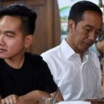 gibran jokowi