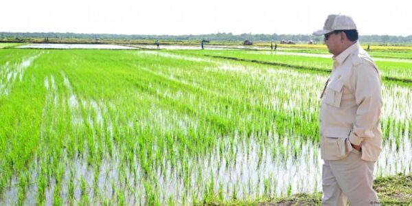 prabowo sawah