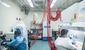 Amerika Buat Covid Varian Baru di Lab, Lima Kali Lebih Dahsyat dari Varian Omicron, Tingkat Kematian 80%