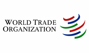 Kasus Bijih Nikel, Terungkap Fakta…! Penjajah RI Masa Lampau Jadi Biang Kerok Indonesia Digugat ke WTO