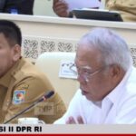 Basuki Hadimuljono youtube