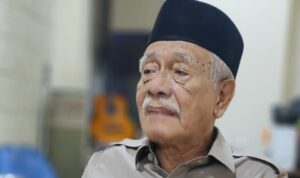amir hamzah rmol
