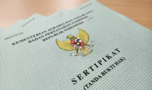 3 Jurus Sakti Cegah Mafia Tanah | Cara Aman Lindungi Aset Kepemilikan Tanah
