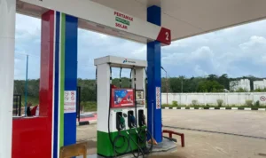 Toyota Siap Investasi Rp 2,5 Triliun Dukung Program BBM Etanol E10