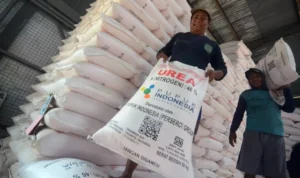 Krisis Energi Global Imbas Konflik Selat Hormuz, Banyak Negara Minta Bantuan Pupuk ke Indonesia x