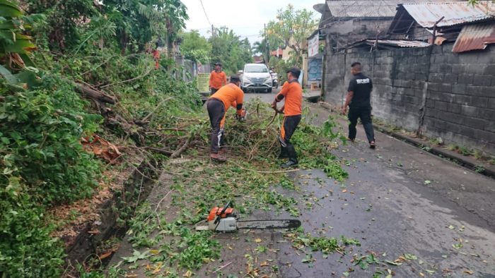 Musim Hujan Tiba, BPBD Buleleng Bersiap Antisipasi Bencana - Jurnal ...