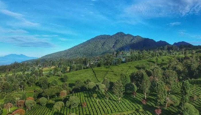 Inilah Daftar Gunung di Bandung Utara yang Ditutup Sementara dari Pendakian