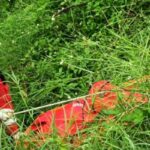 Evakuasi Penemuan Mayat di Cidadap Kota Bandung RMOLJabar