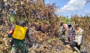 TNI AL Tangani Kebakaran Lahan 2 Hektare di Dusun Camarbulan, Perbatasan RI-Malaysia de e dc ebacbf ()