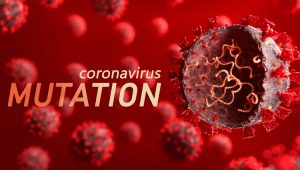 Hari Ini Nambah 1.220, Data Satgas: Kasus Covid-19 di RI Naik Lagi