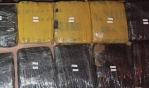 Pengedar 15,5 Kilogram Ganja Ditangkap di Parkiran Stasiun Tanah Abang WhatsApp Image at