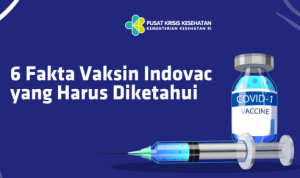 Upaya Atasi Kelangkaan Vaksin COVID-19, Bio Farma Ungkap: Vaksin IndoVac Belum Siap Didistribusikan