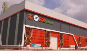 rdf rorotan