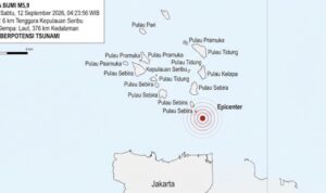 Gempa M 5,9 di Kepulauan Seribu, BPBD DKI: Tak Picu Tsunami dan Kerusakan gmp