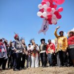 bfdd fc ca bcb dabfd