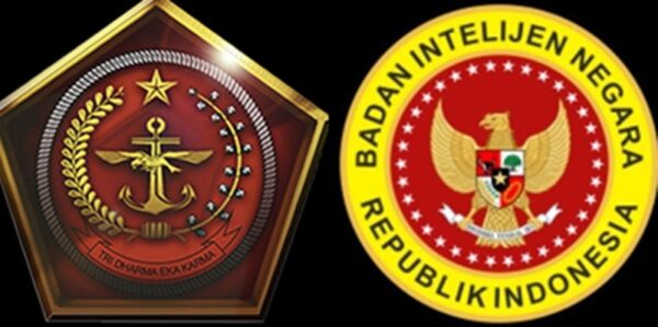 Usulan Penyatuan BAIS dan BIN Dinilai Bisa Tingkatkan