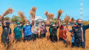 Perda Sistem Pertanian Organik, Acuan Distan Buleleng Pulihkan Tanah Pertanian