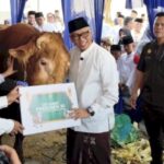 sapi prabowo