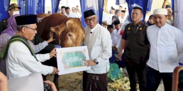 sapi prabowo
