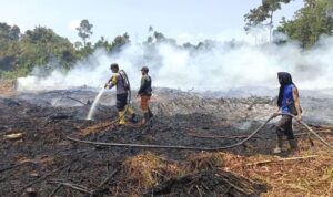 40 Kasus Karhutla Masuk Penanganan Polri, 29 Orang Jadi Tersangka di Riau padamkan karhutla