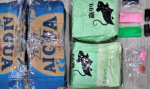 Dua Pengedar Narkoba di Kelapa Gading Dibekuk, Polisi Amankan 1,8 Kg Sabu dan Ekstasi-10-18_at_17.30.08_8c5da9a7